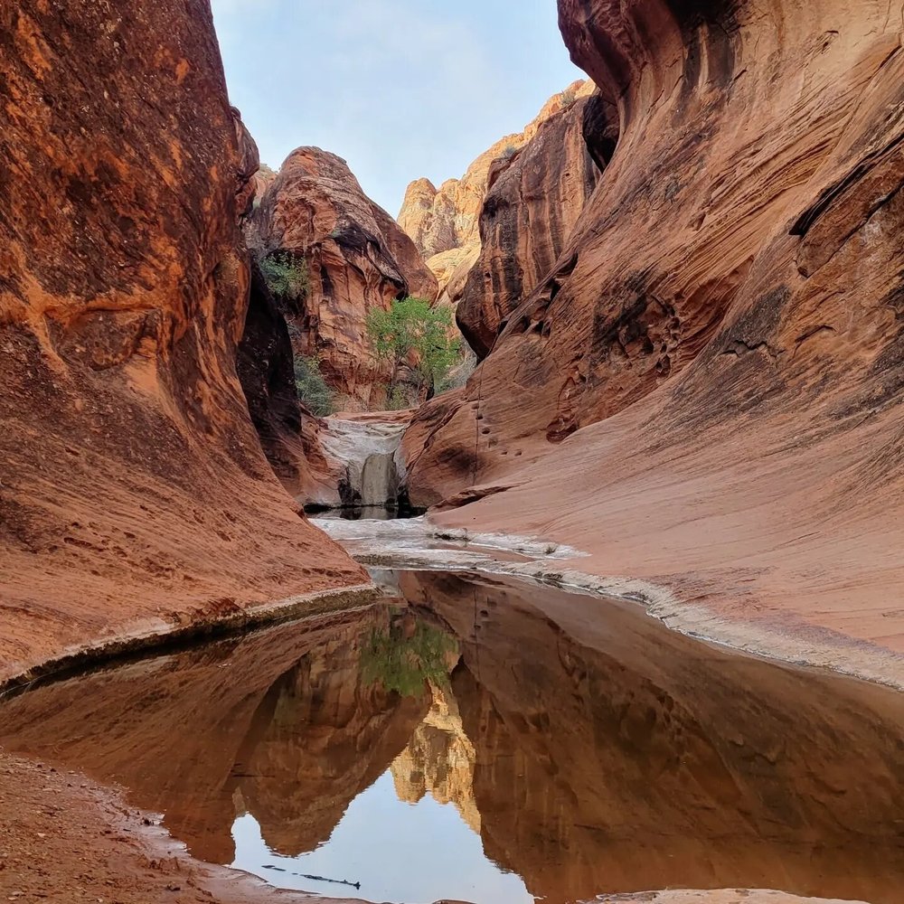 Red Cliffs National Conservation Area