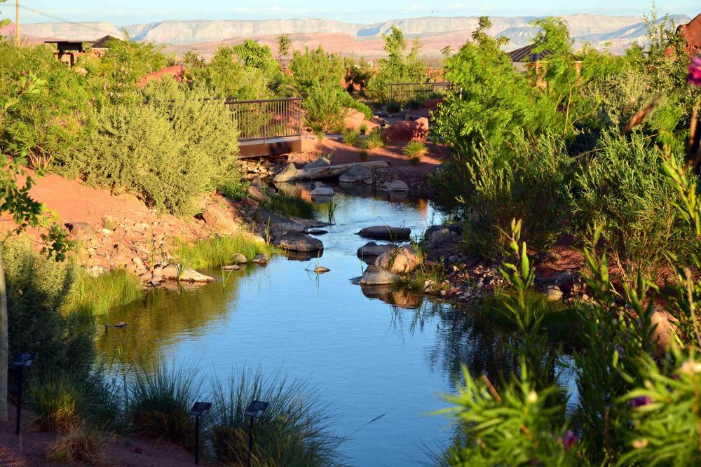 Red Hills Desert Garden