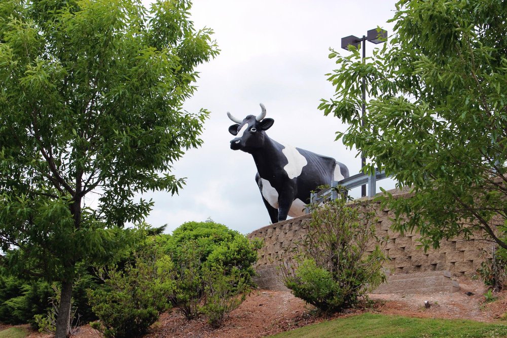 Kadie the Cow - Columbus's Beloved Bovine Landmark