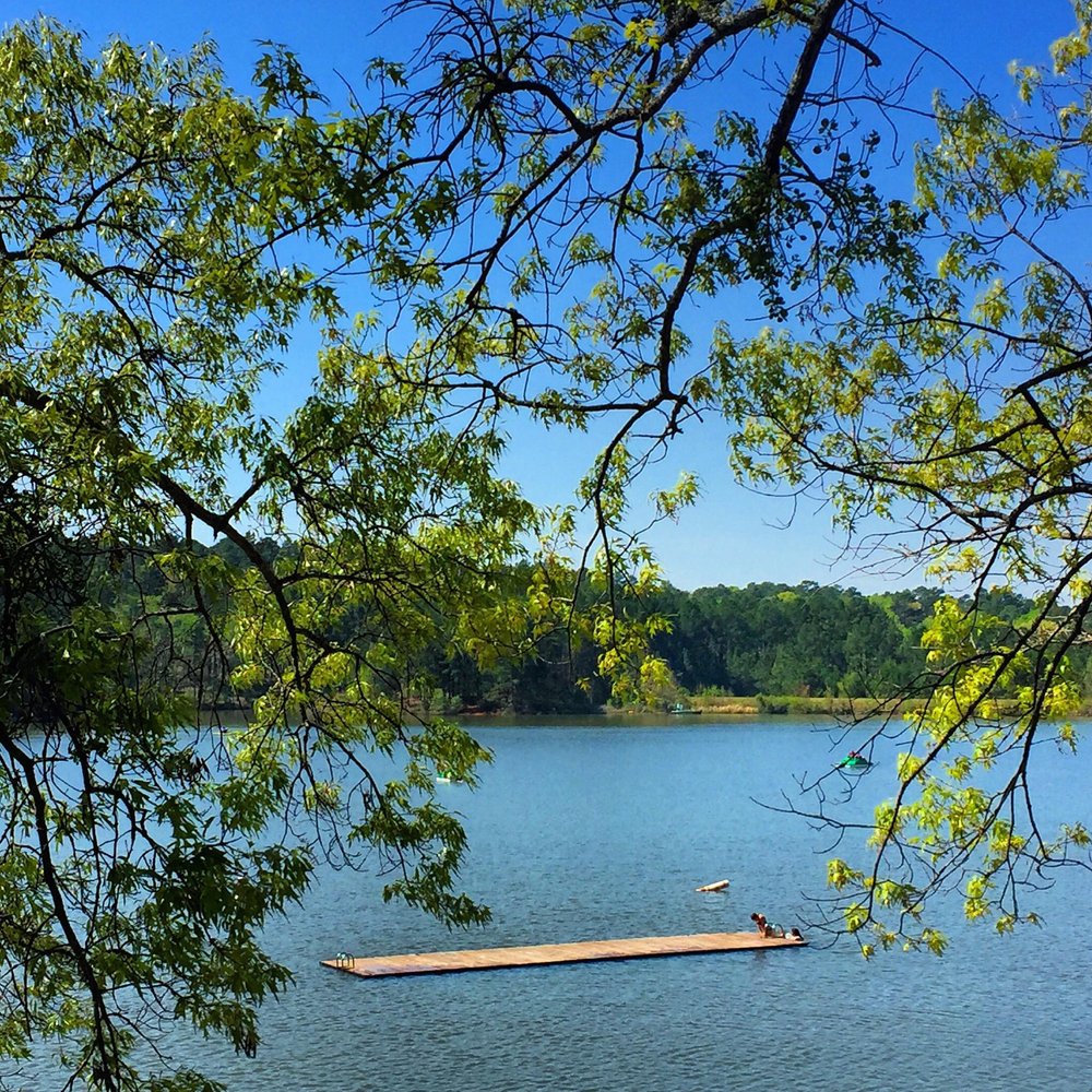 Tyler State Park: A Natural Swimming Paradise