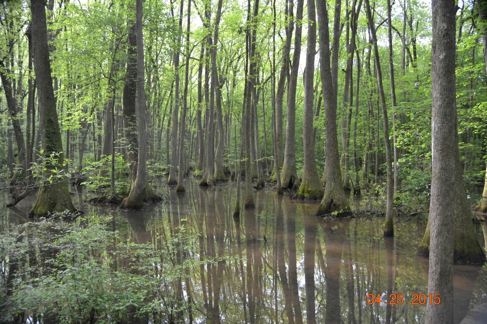 Wheeler National Wildlife Refuge